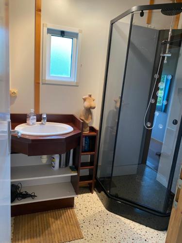 a bathroom with a sink and a shower at Charmant logement à la campagne, au calme in Manhac