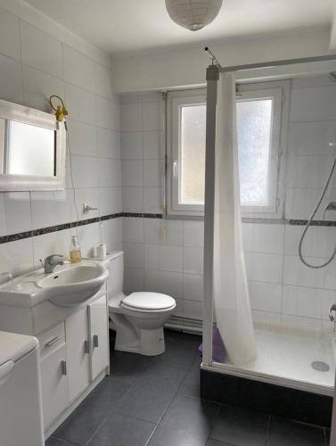 ein Bad mit einem WC, einem Waschbecken und einer Dusche in der Unterkunft Proche centre T2 avec Terrasse in Biarritz