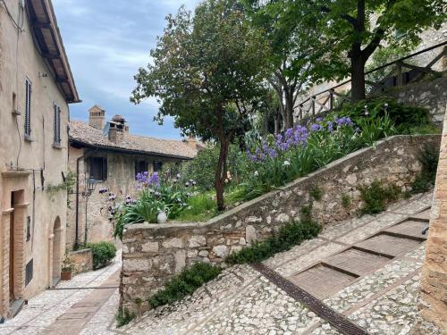 a stone path in a garden with purple flowers at La vecchia vite casa vacanze in Trevi
