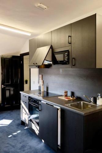 Kuchyňa alebo kuchynka v ubytovaní Central Luxury Suite with City View