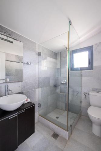 a bathroom with a shower and a sink and a toilet at Ikaria Beachfront Villa 7 Bedrooms Villa Indigo Blue Haven Infinity Pool With Stunning Aegian Sea Views Gialiskari in Gialiskari