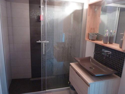 une douche avec une porte vitrée à côté d'un lavabo dans l'établissement Le 107 grande maison accès direct et vue sur mer, à Cherrueix