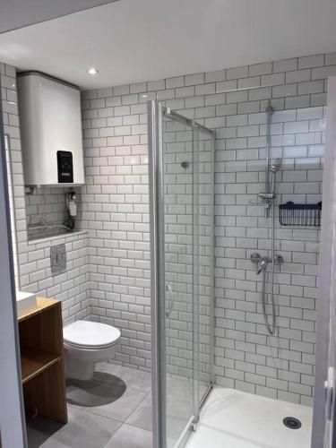 une salle de bain avec toilettes et douche en verre dans l'établissement Appartement grand confort 3 chambres avec cour intérieure, à Marseille