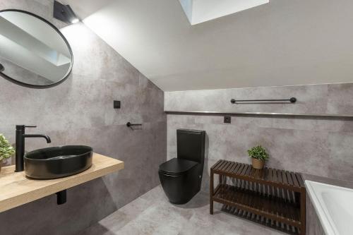 a bathroom with a sink and a toilet and a mirror at Wellness Pension Fulda Černý Důl in Cerny Dul