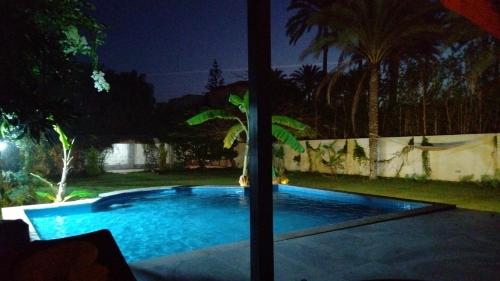 a swimming pool at night with a palm tree around it at Two pools private villa for families. in Qaryat Shākūsh