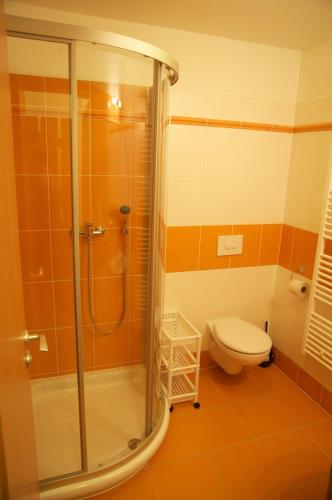a bathroom with a shower and a toilet at Penzion Pod Zámkem in Zruč nad Sázavou
