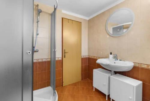 a bathroom with a sink and a shower with a mirror at Apartment with Whirlpool and BBQ near Poreč in Baderna