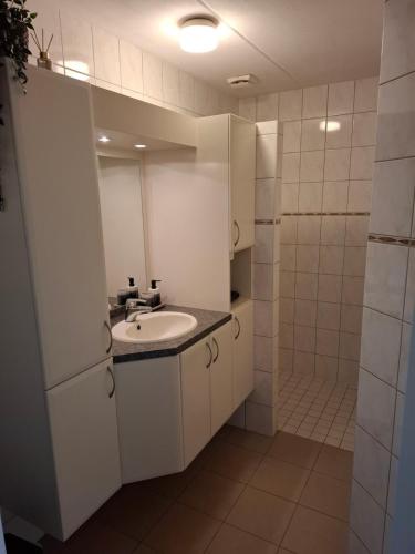 een witte badkamer met een wastafel en een douche bij Vakantiehuis de Haar Ambt-Delden in Ambt Delden