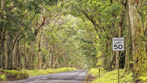 a speed limit sign on a road with trees at Kiahuna 106 - Ocean View in Kipu