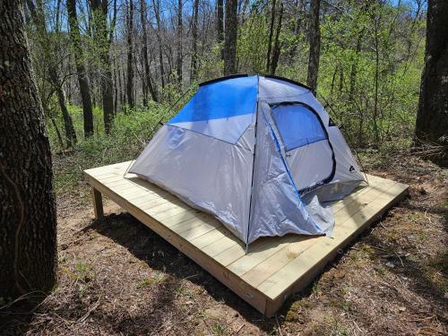 a tent sitting on a wooden board in the woods at Cardinal Cove Campsite at Hocking Vacations - Tent not included in Logan