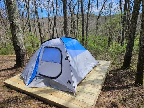 a tent sitting on a wooden board in the woods at Cardinal Cove Campsite at Hocking Vacations - Tent not included in Logan