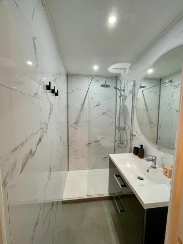 une salle de bain avec douche et lavabo dans l'établissement Cap D'agde Naturiste Heliopolis 2 à 4 Personnes Appartement OSMOSE, au Cap d'Agde