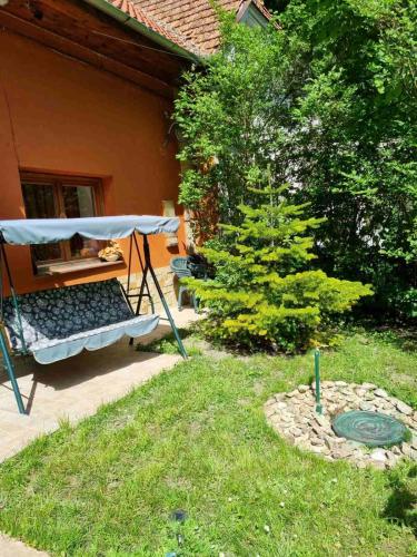 Tündérerdő 3517 Miskolc, Erzsébet sétány kép - 3