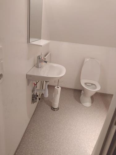 La salle de bains est pourvue d'un lavabo et de toilettes. dans l'établissement Trevligt hus nära skogen, à Glimåkra