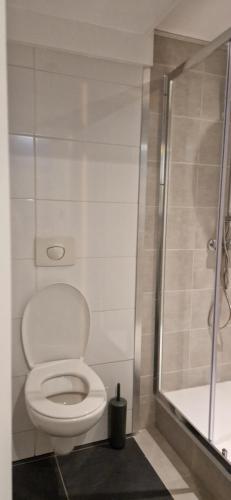 een badkamer met een toilet en een douche bij Noorderster aan zee in Zandvoort