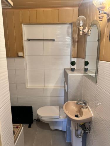 La salle de bains est pourvue de toilettes et d'un lavabo. dans l'établissement Ferienwohnung Montuerwohnung Naila, à Naila