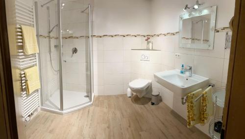y baño con ducha, aseo y lavamanos. en Widernhof, en Prien am Chiemsee