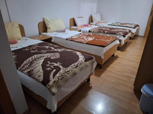 a group of four beds in a room at Juka in Međugorje