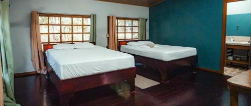 two beds in a room with two windows at Kinkajoungalows - Amaya Family, Drake Bay, Osa Peninsula in San Pedrillo