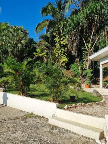 Κήπος έξω από το Casita Las Palmas - 2 Schlafzimmer
