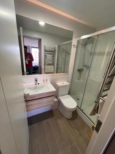 La salle de bains est pourvue de toilettes, d'un lavabo et d'une douche. dans l'établissement City House Claro Solar, à Temuco