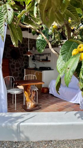 Κήπος έξω από το Case Quattrocchi - Giardino e Terrazzi con vista Panoramica sul Mare, Etna e Vulcano