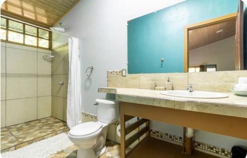 a bathroom with a toilet and a sink and a mirror at Kinkajoungalows - Amaya Family, Drake Bay, Osa Peninsula in San Pedrillo