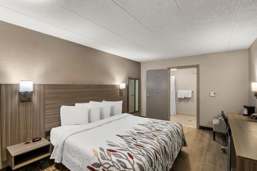 a hotel room with a large bed and a desk at Red Roof Inn Enfield in Enfield