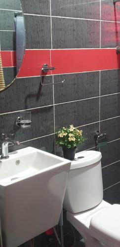 a bathroom with a toilet and a sink and a plant at the Oxbow in Madina