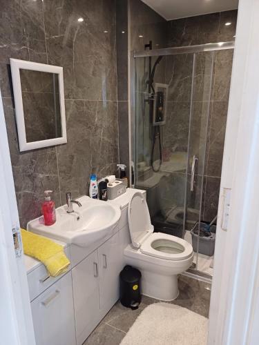 W łazience znajduje się toaleta, umywalka i prysznic. w obiekcie A whole fully equipped 1 bedroom property w mieście Woodford