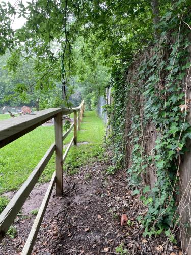 a wooden fence next to a ivy covered wall at Pet friendly Tiny House Rental with new Access to Guadalupe River NBTX in New Braunfels