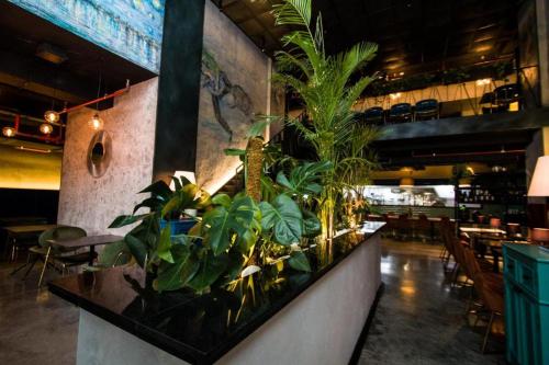 a row of plants on a counter in a restaurant at Premium apartments - the star of Batumi Palace in Batumi