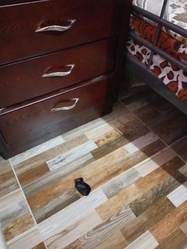 een zwarte schoen op een vloer naast een dressoir bij Masr om adonia in Kafr Şaqr