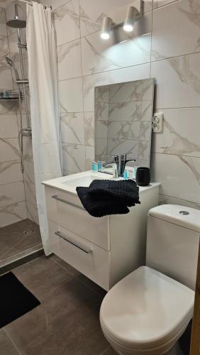W łazience znajduje się toaleta, umywalka i lustro. w obiekcie Apartamenty "Pod Bocianim Gniazdem" w Myślenicach