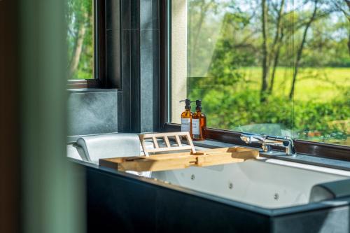 Elle comprend un lavabo et une fenêtre. dans l'établissement Les Gites du Moul'1, à Duppigheim