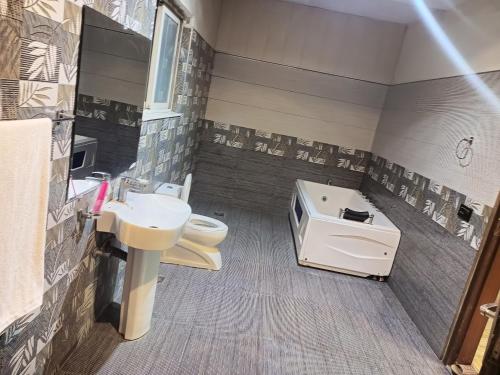 拉合爾的住宿－EXPRESS HOTEL，一间带水槽和卫生间的浴室