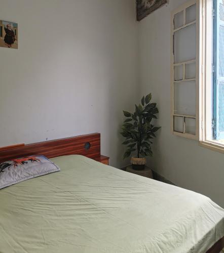 um quarto com uma cama e um vaso de plantas em Dar Mima Baya em Tunes