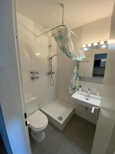 a bathroom with a toilet and a sink at Schöne, kleine, gemütliche Wohnung - Stadtmitte in Mainz