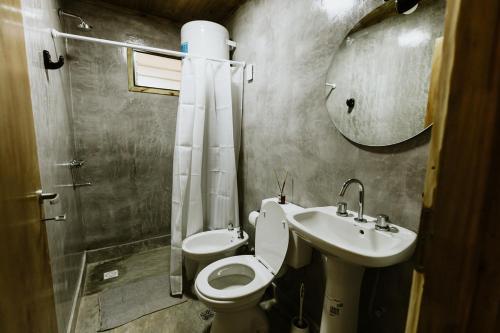 a bathroom with a toilet and a sink and a mirror at Viñedos de la Luna in Fiambala