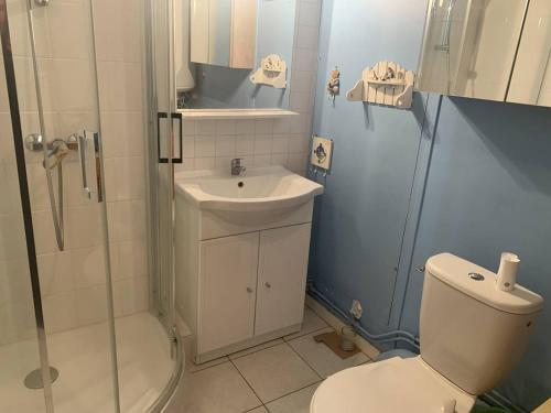 une salle de bain avec une douche, des toilettes et un lavabo dans l'établissement Duplex cosy 4 personnes avec parking, proche plage - Merville Franceville - FR-1-465-112, à Merville-Franceville-Plage