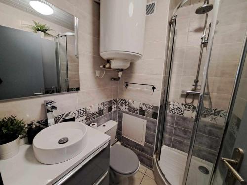 une salle de bain avec toilettes, lavabo et douche dans l'établissement Appartement 2 pièces avec terrasse, climatisation et accès direct plage - FR-1-326-822, à Marseillan