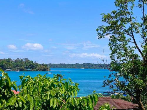 a view of a body of water with trees at Casa Ylang in Bastimentos