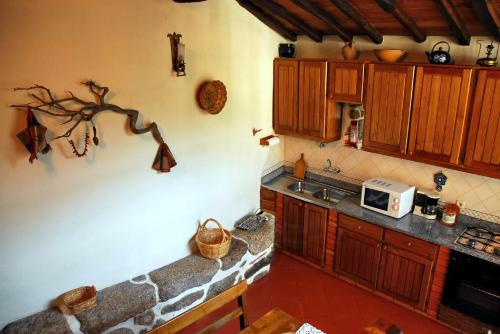 a kitchen with wooden cabinets and a sink and a microwave at Casa do Forno in Valezim