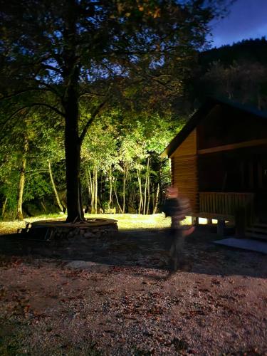 a person running in front of a cabin with a tree at InSxvava in Ambrolauri