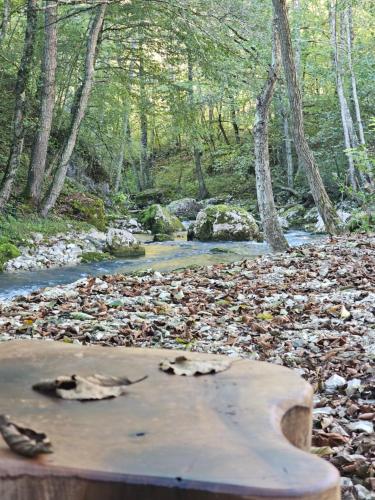 a river in a wooded area with a table in the foreground at InSxvava in Ambrolauri