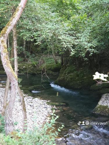 a stream in a wooded area with trees at InSxvava in Ambrolauri