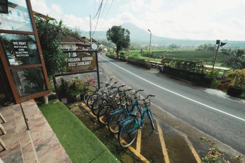 un grupo de bicicletas estacionadas al lado de una carretera en Bhuana Agung Villa and Restaurant by ecommerceloka, en Jatiluwih