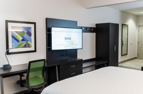 a bedroom with a bed and a desk and a tv at Holiday Inn Express - Andalusia by IHG in Andalusia