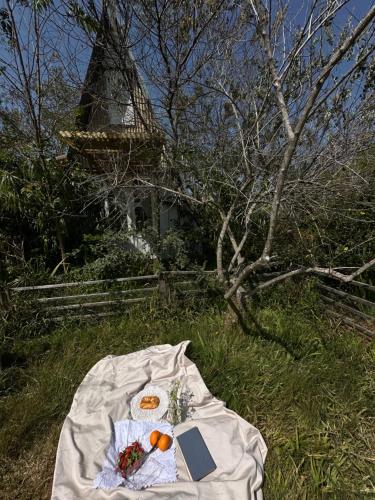 Φαγητό σε αυτό το καταφύγιο ή κάπου εκεί κοντά