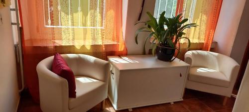 a room with two chairs and a table with a plant on it at Bukkaranyos in Sály